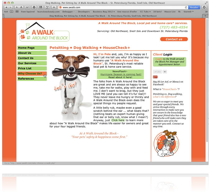 Brand Development Project for A Local Petsitter with loads of style!
