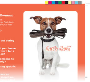 Petsitting Print Media Design Design Project