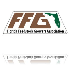 FFGA Forms Design Project