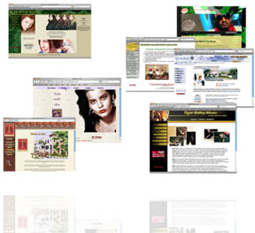 Multiple Website Designs